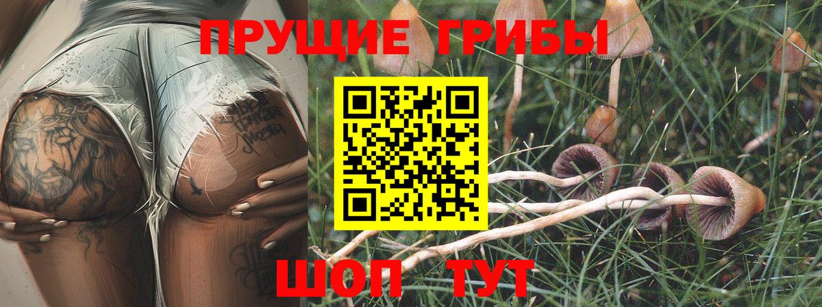 Псилоцибиновые грибы GOLDEN TEACHER  Вход с VPN  Кстово  Галлюциногенные грибы GOLDEN TEACHER 